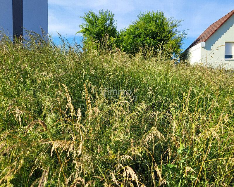 Terrain de construction - 20250519 181427