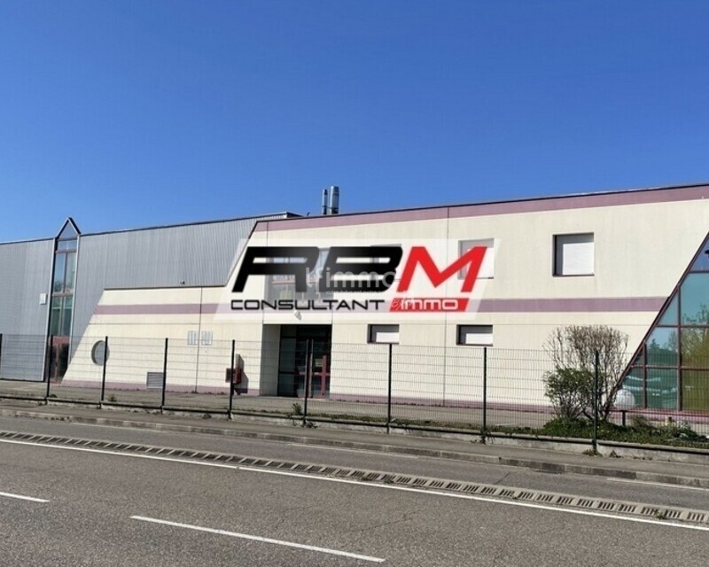 Ensemble immobilier industriel à Wittenheim (68270) - Haut-Rhin - Image  rbmimmo  wittenheim