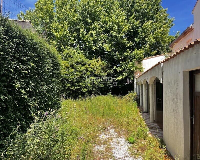 Maison avec jardin appartement indépendant centre-ville de Narbonne - Jardin