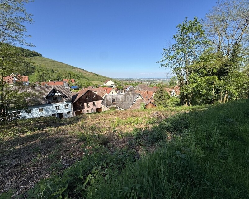 Terrain de construction de 692m² à Orschwiller - Converted file2