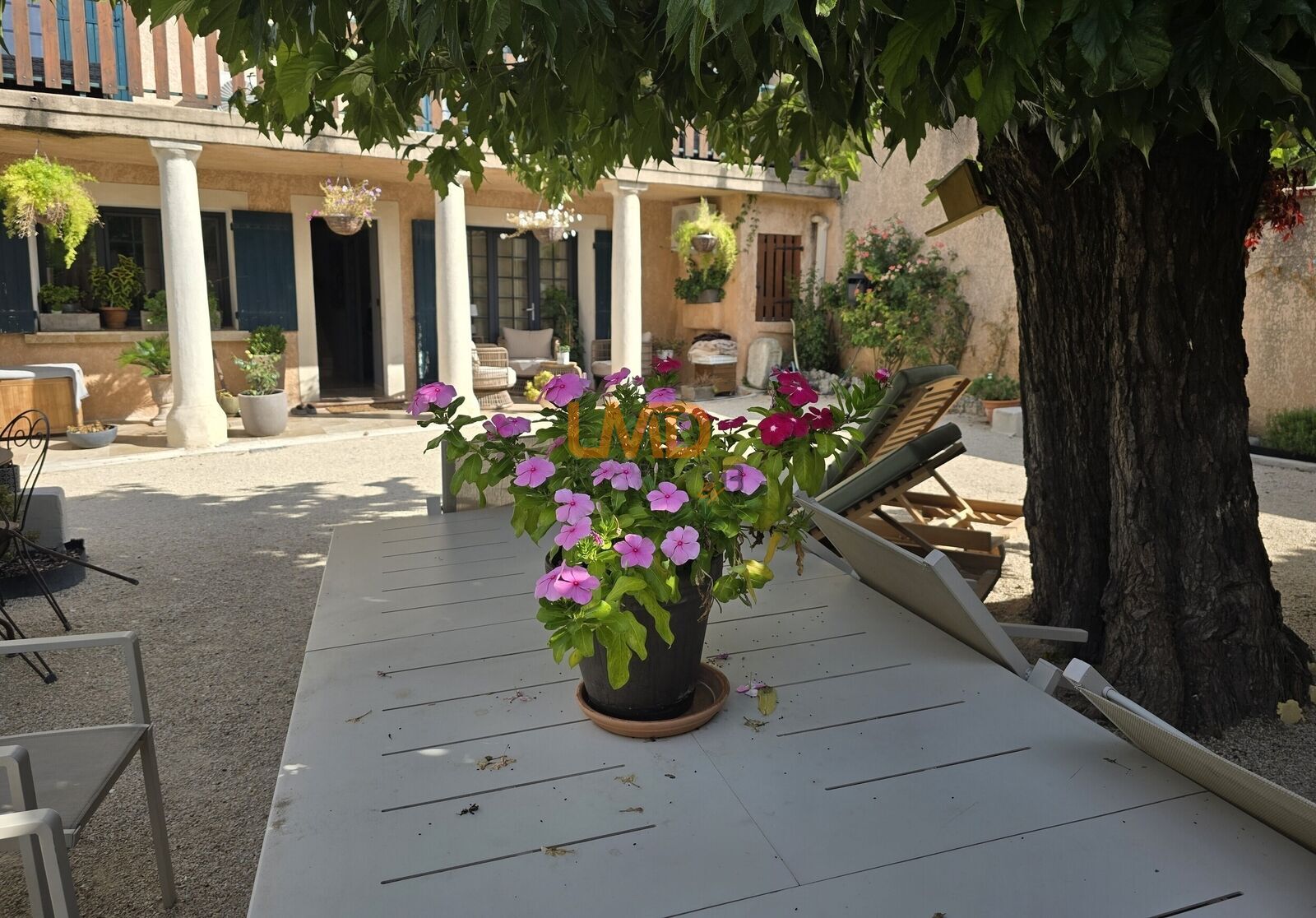 L’espace, le confort et le potentiel réunis en centre-ville. - Jardin4