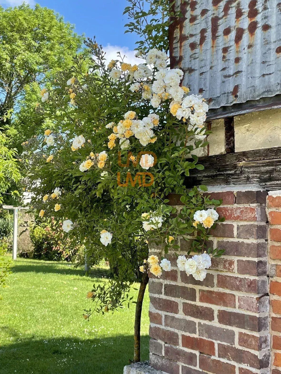 gîte de charme 7 chambres de 250m2  - e748dd79-2790-4e36-bf51-1a8c95ee0742