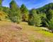 En Cevennes Mas Renove Avec Terrain 2 Hect - 3572183f-d396-41c8-a969-93b129837b83