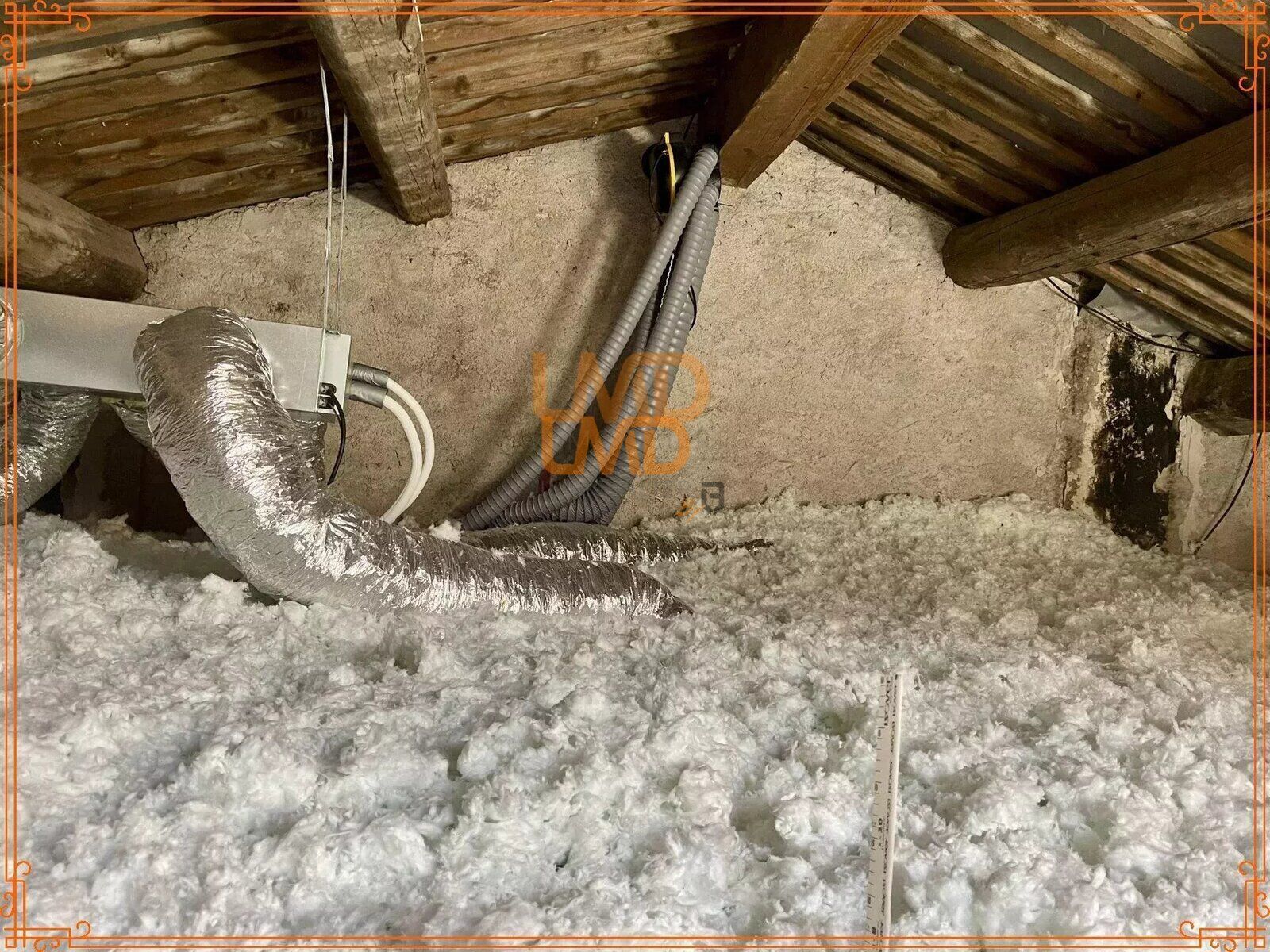 Maison de maître : 1 sudio - 2 cours – garage - a40b2138-189c-40cc-90df-328a0461f417