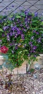 Aveyron Maison 3 chambres, salon, séjour, garage et jardin - b5fa5609-1e32-4920-941f-1be375eae9af