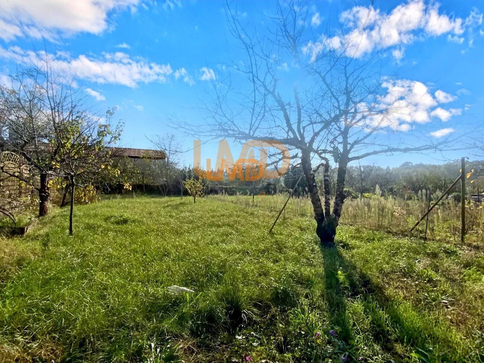 Prix négociable - 37899b84-6989-419b-99a2-8885a7b66689