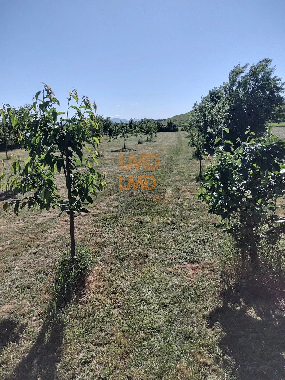 Pour Investisseur idéal - 45215da7-9d4b-4d19-9a21-da26bd6c1346