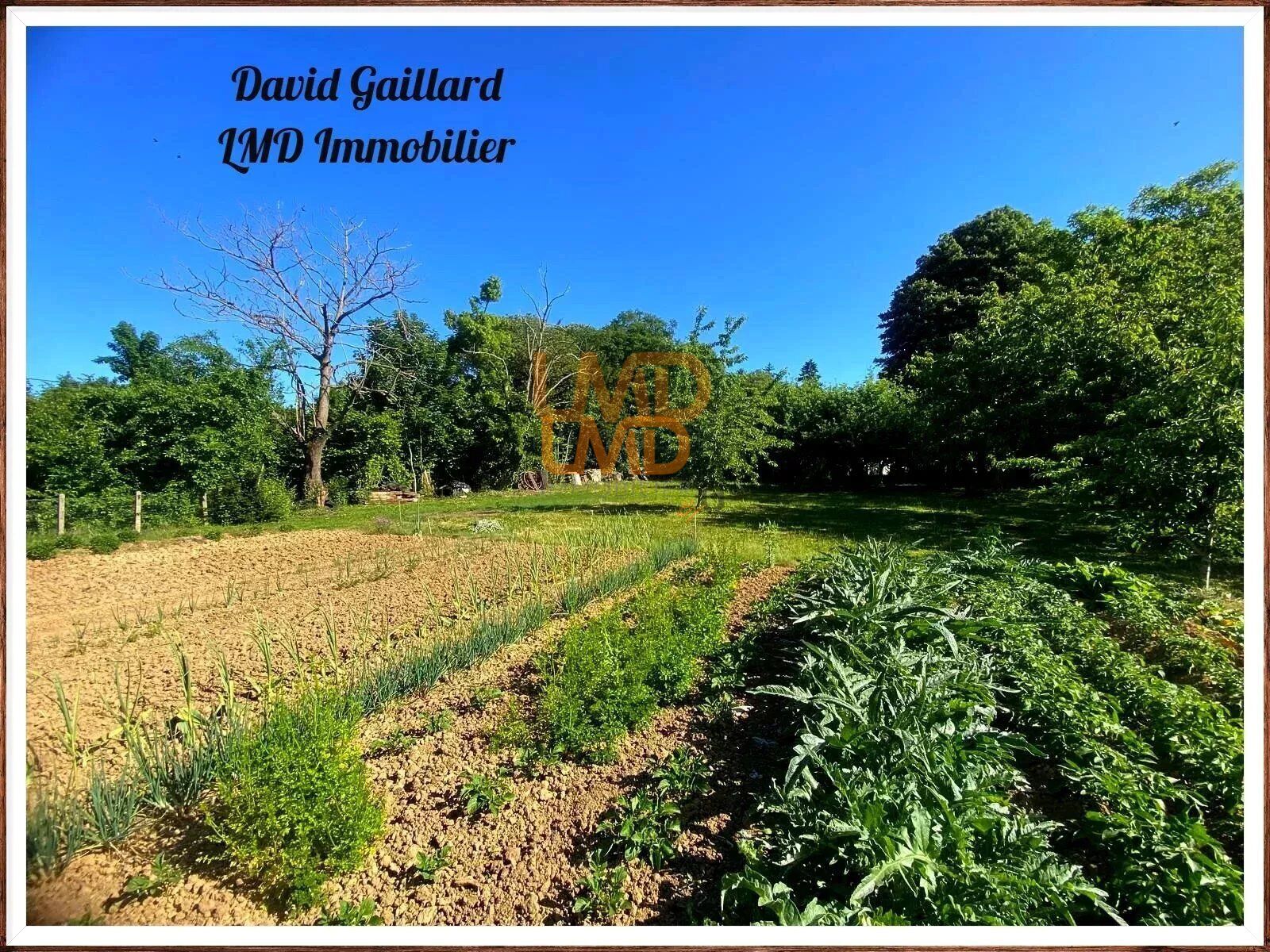 Longere - DÉPendances - Grand Terrain - ae9914d4-3fda-4941-8a58-fc462b97a390