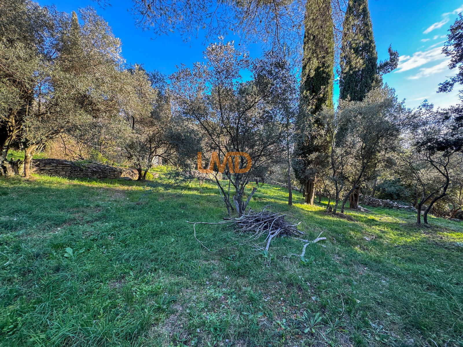 Mazet à Nîmes - Quartier prisé et paisible - Image00014-1