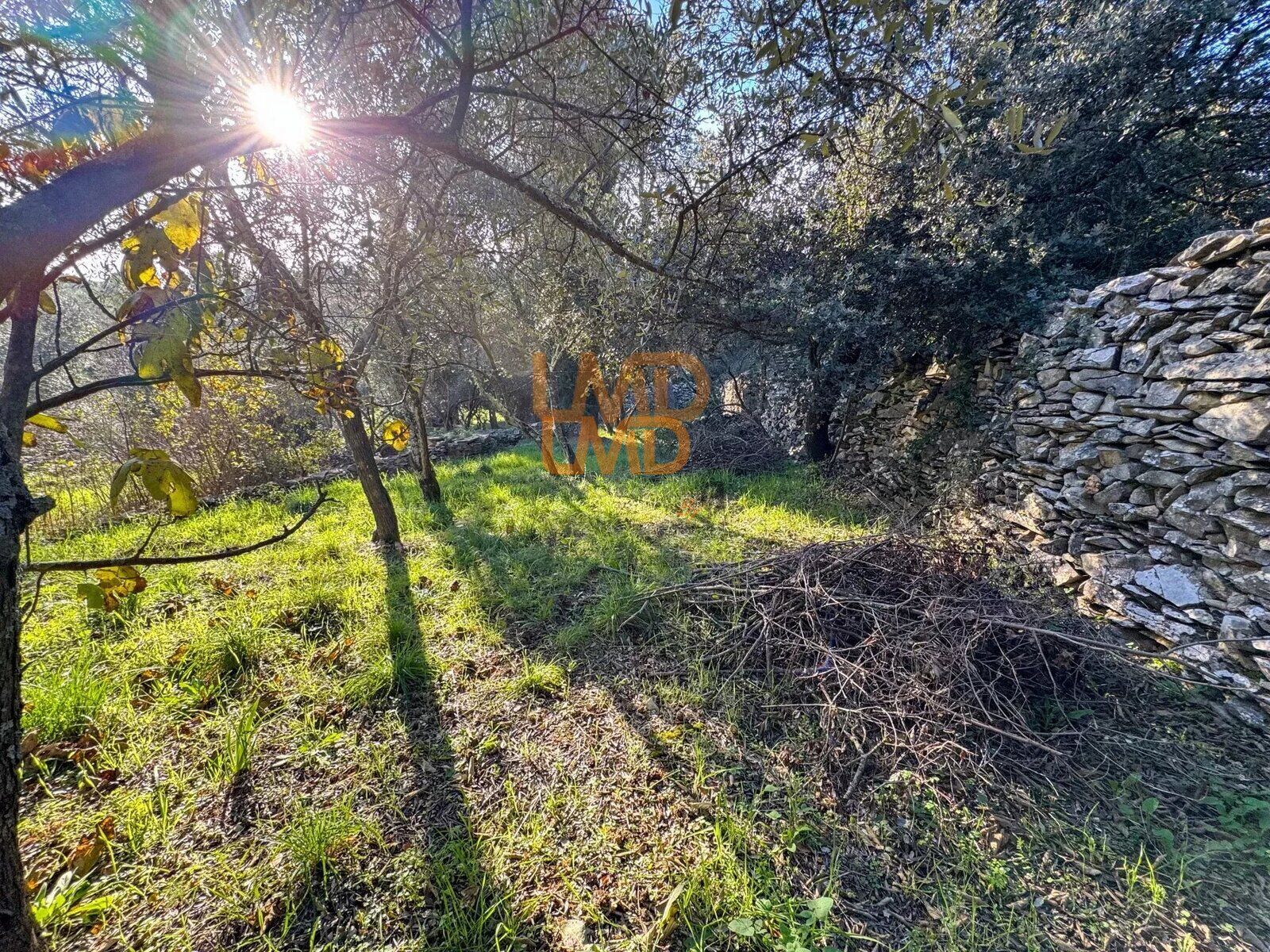 Mazet à Nîmes - Quartier prisé et paisible - 8153ff71-acda-4a32-9545-29477c6a53c7