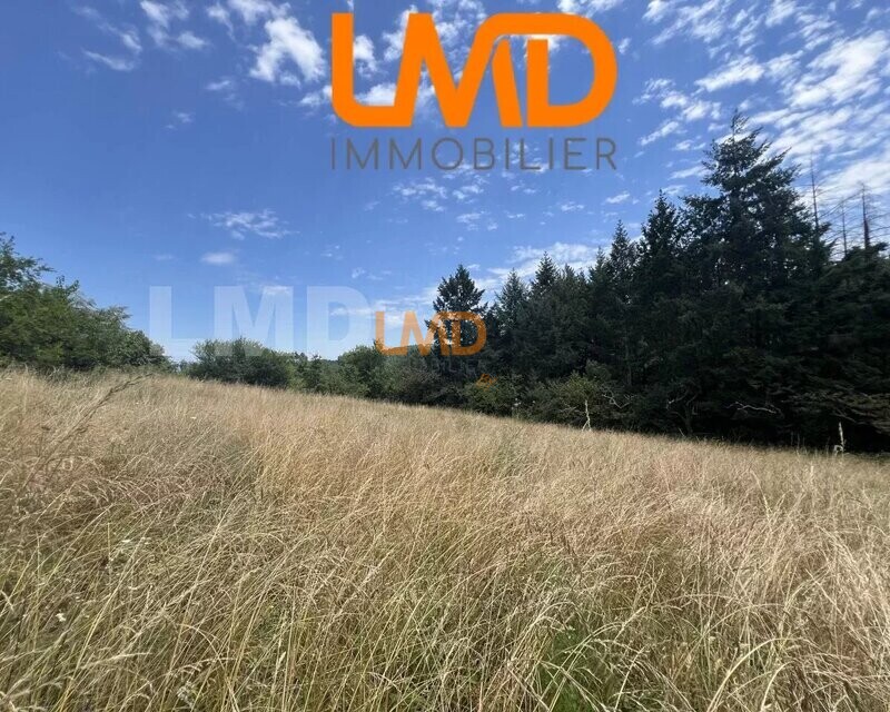 Terrain constructible de 2 536 m² – Mercuer - cc2be0a2-f087-4486-83b8-96bf47c11507