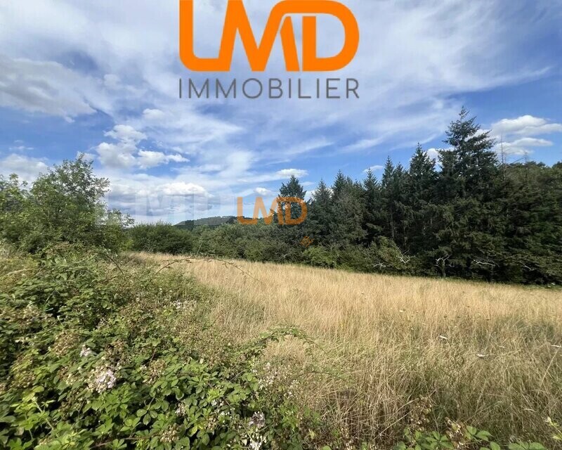 Terrain constructible de 2 536 m² – Mercuer - 4c9f547f-62e1-4c74-9b4b-9ec61a9922b9