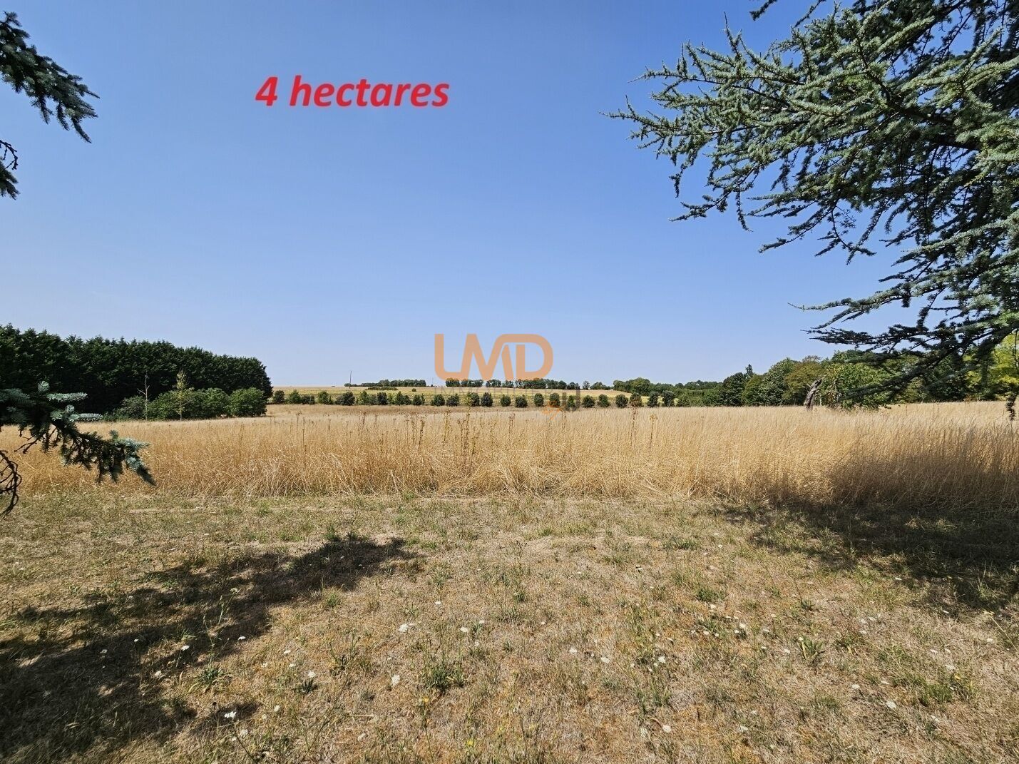 Maison Cherbonnières 4 hectares - Terrain 4ha