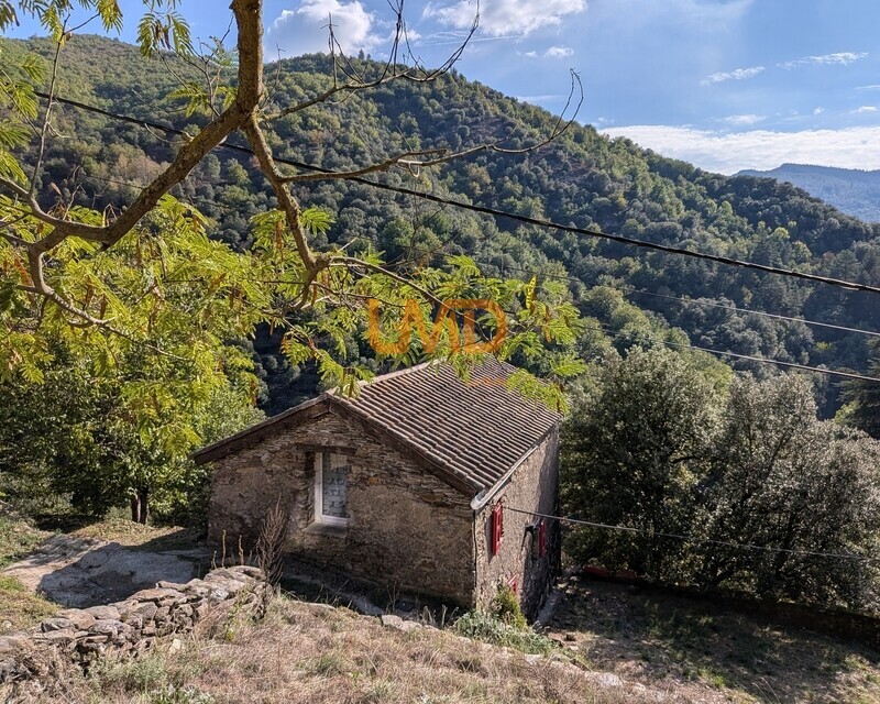 Maison en pierre - Vue panoramique - Terrain - Pxl 20261005 140325768