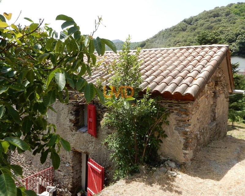 Maison en pierre - Vue panoramique - Terrain - Dscn4521