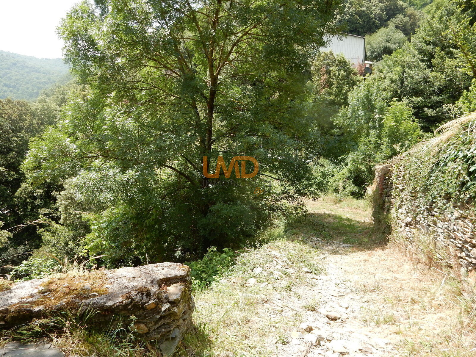 Maison en pierre - Vue panoramique - Terrain - Dscn4549