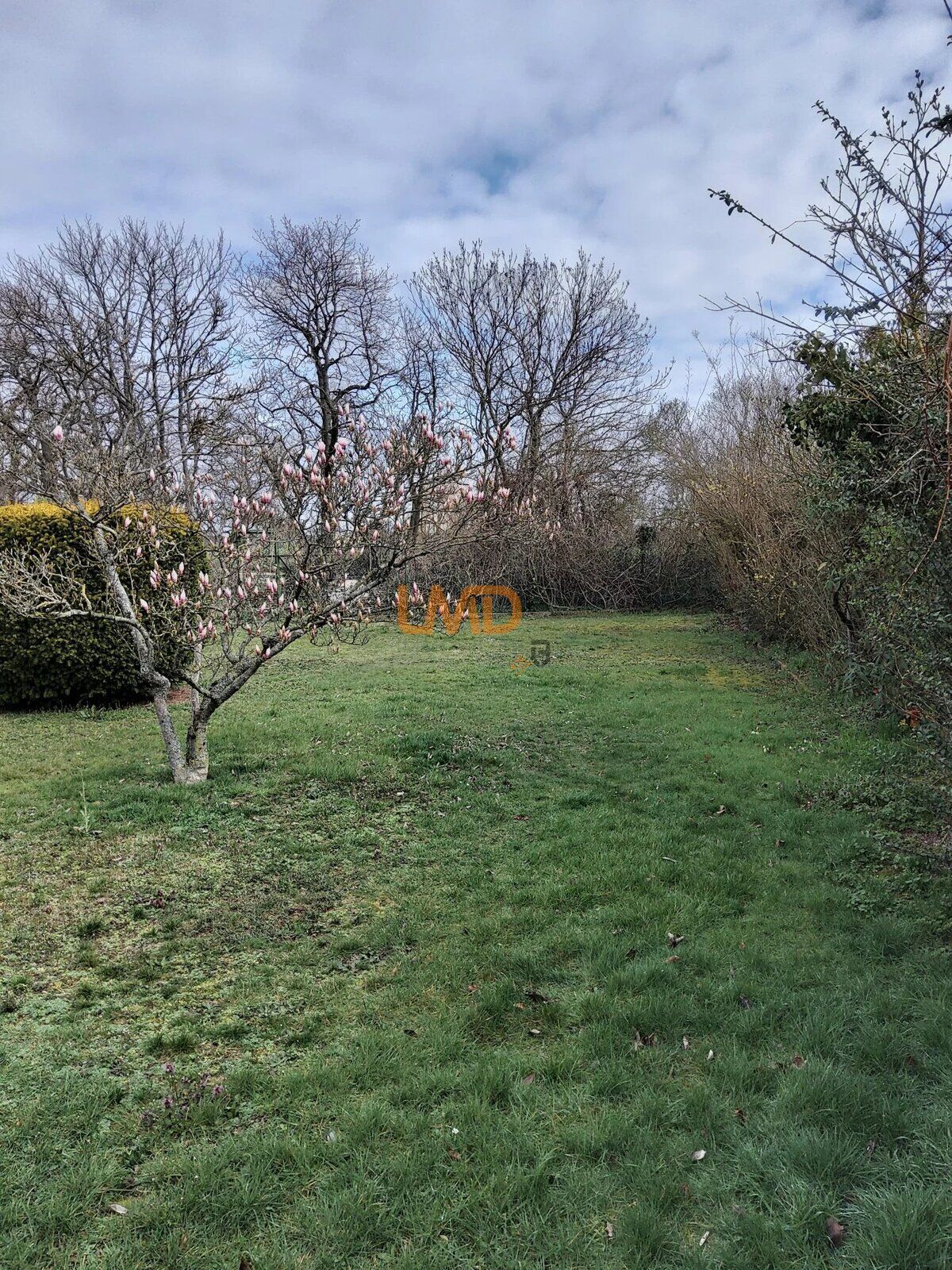 Ideal pour investisseur  - 34b4c0db-ffe6-4b8c-86f3-b9a84d970526