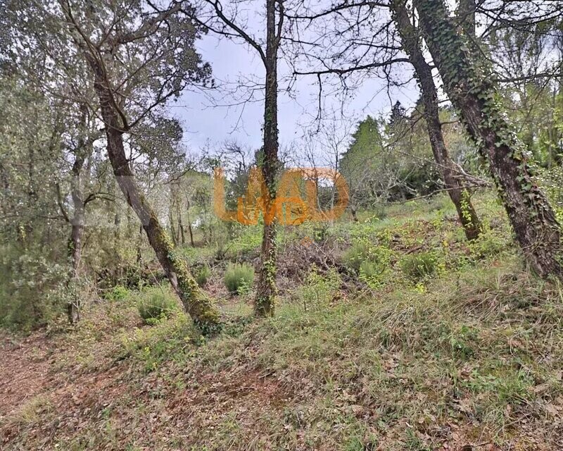 Terrain Constructible - 1405m2 - VUE Degagee - ae7fae84-ff76-4d42-8e61-a79e883add01