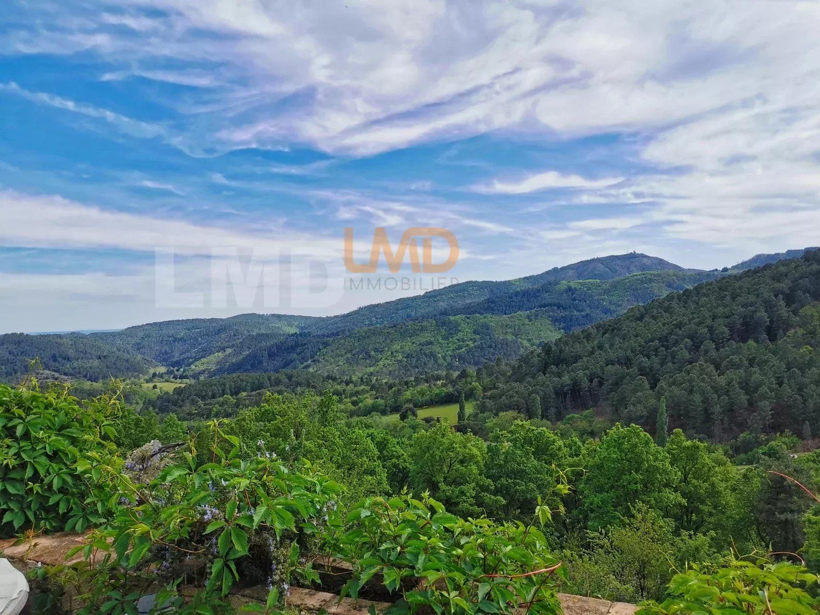 Beau mas en pierre et son gîte au coeur de la nature - 88751e37-6f0b-441e-9779-b55384152bbe