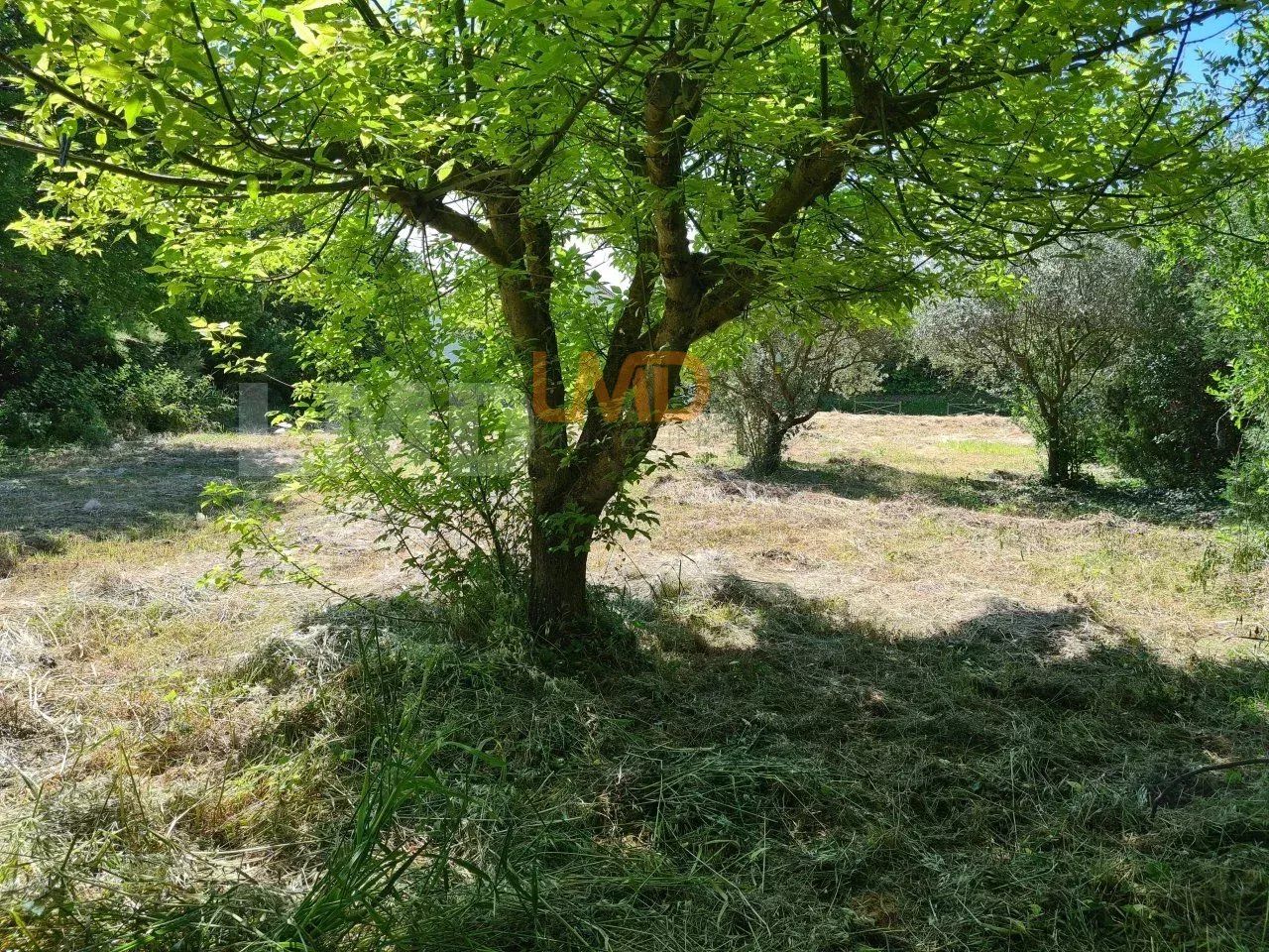 Opportunité Unique : Réveillez le charme d'antan de ce mas provençal ! - 62c3433f-890a-4c88-8cb6-d6420be62cd9