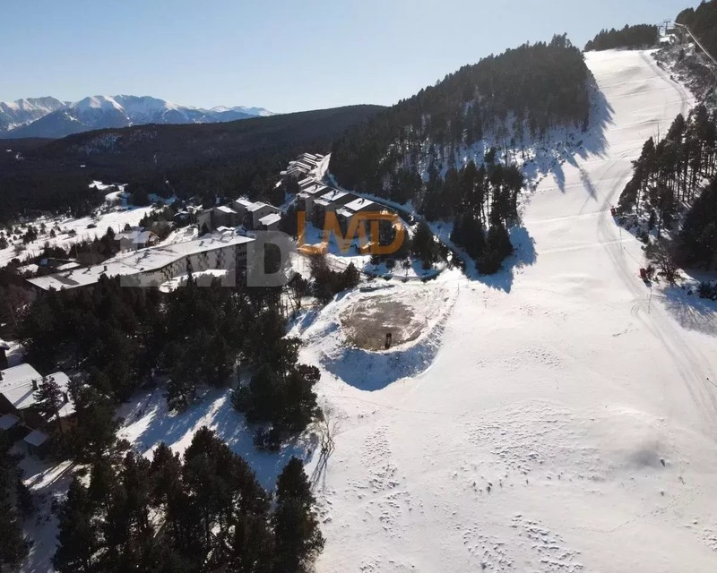 Terrain bord de piste - 091b2dd7-eb59-4411-8dda-29ef4d8a112c