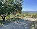 Vidauban - Terrain DE Loisir - 3,5 Hectares - 3cf73096-1990-427d-90fb-93e7cb31afe8