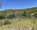 Vidauban - Terrain DE Loisir - 3,5 Hectares - 96ce5e7c-7db0-45c7-8f76-8aa200cbeeb5