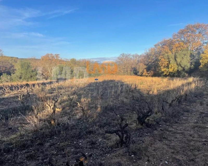 Terrain agricole 3300 m2 Thuir - 13db8202-bfbb-49eb-ba00-79fc6816c742