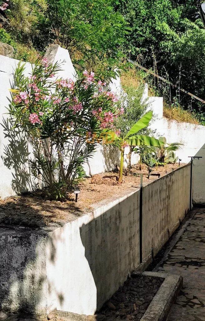 Vals les Bains - Maison de 130 m2 belle piscine, une vue magnifique - c5c4b9b3-185e-41b7-b98e-ad3503468e9e