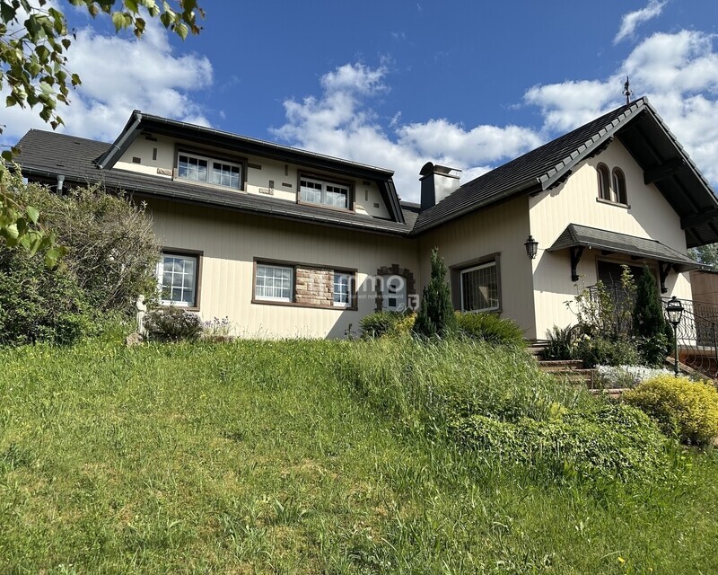 Spacieuse maison familiale à Phalsbourg - 11.ext 4