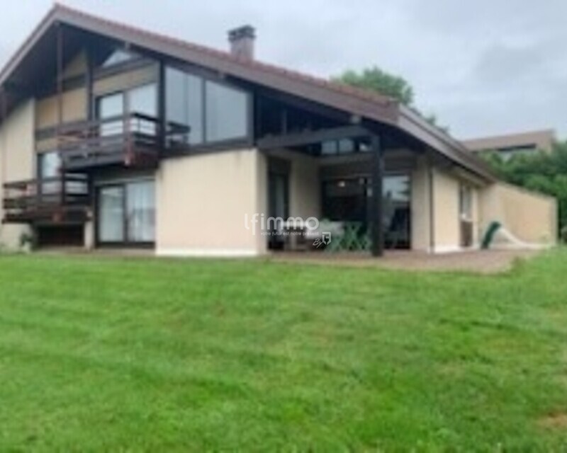 bien rare epinal - Royer photo 2