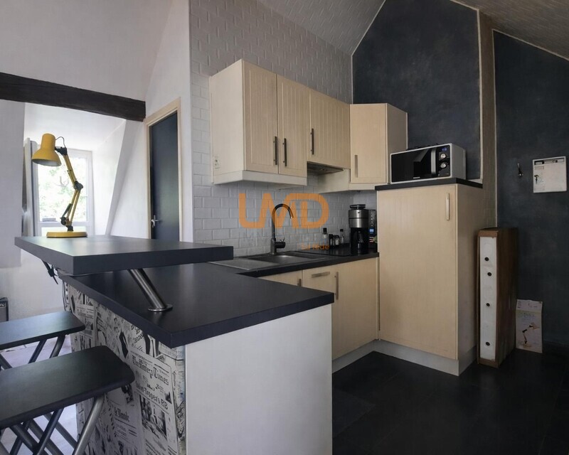 Studio 31 M²  -Saint Cyr Sur  Loire- Vendu loué - Whatsapp image 2026-02-13 at 10.05.04