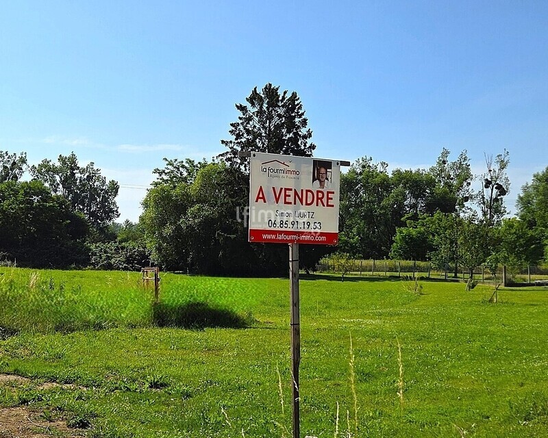 Rohrwiller - terrain constructible de 461m² - 20250618 100438 1