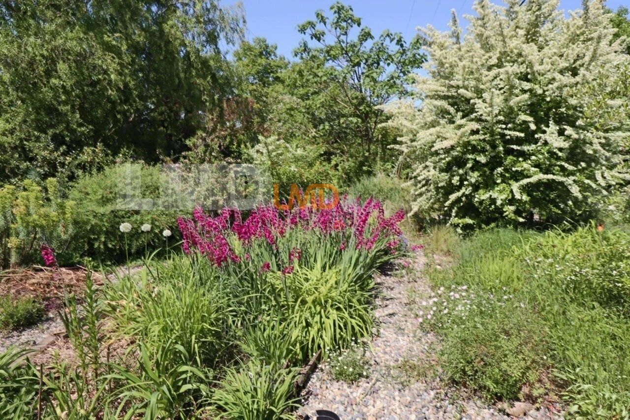 Ferme rénovée 310 m2 + dépendances - Picture-85190927-3