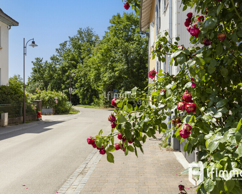 Rare charmante maison de maraîcher à la Robertsau  - La fourmi - 18 chemin du grand beltzwoerth strasbourg 11062025-28