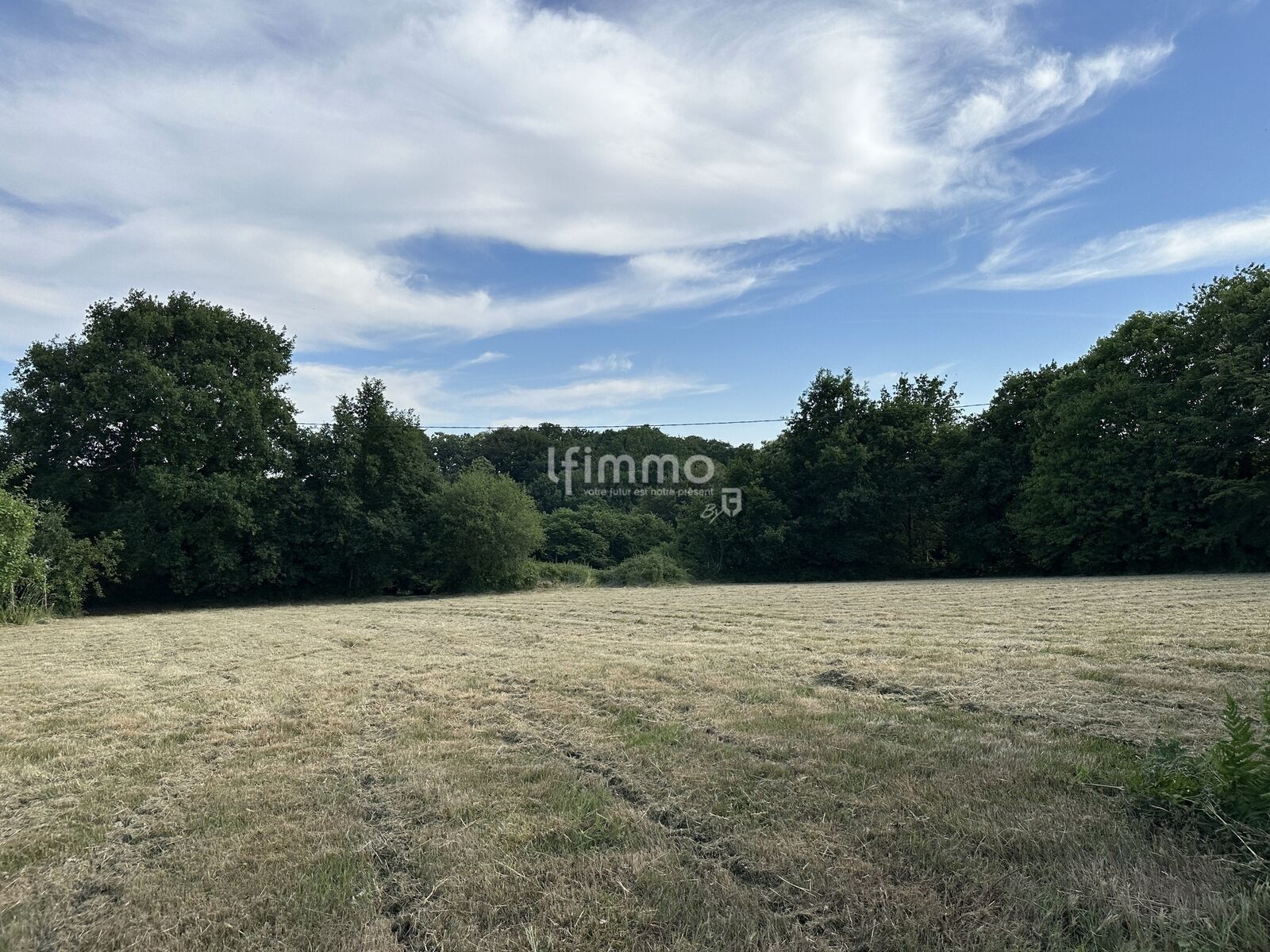 Terrain constructible 2 875m2 - Img 5844
