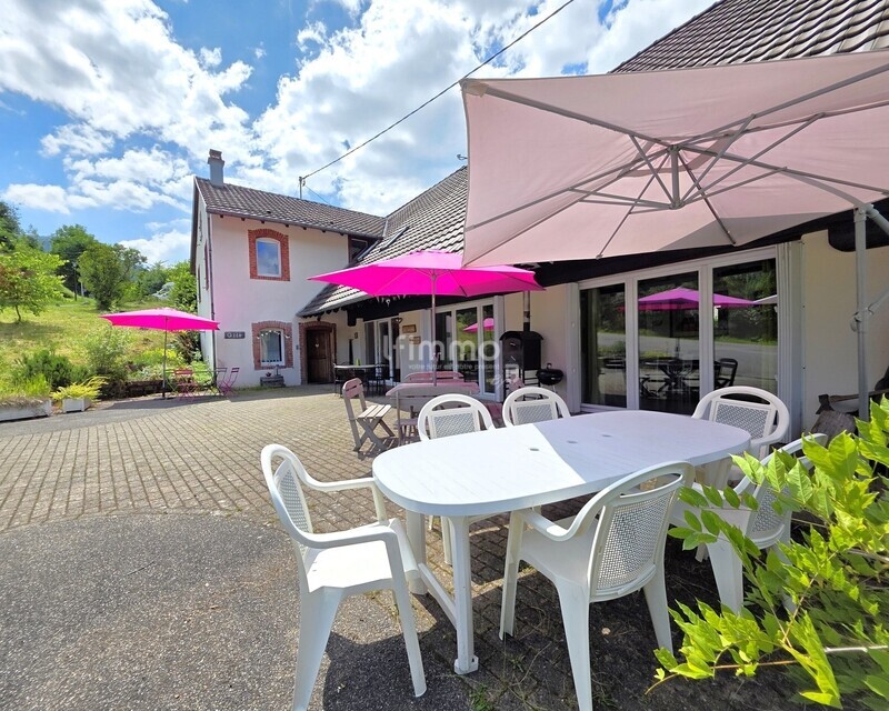 Ancienne scierie réhabilitée – 500 m² habitables et terrain de 13 ares - terrasse