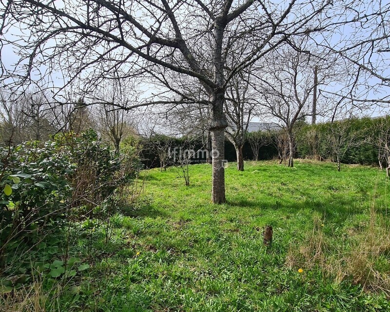 Terrain loisir divisible - 20230329 144602