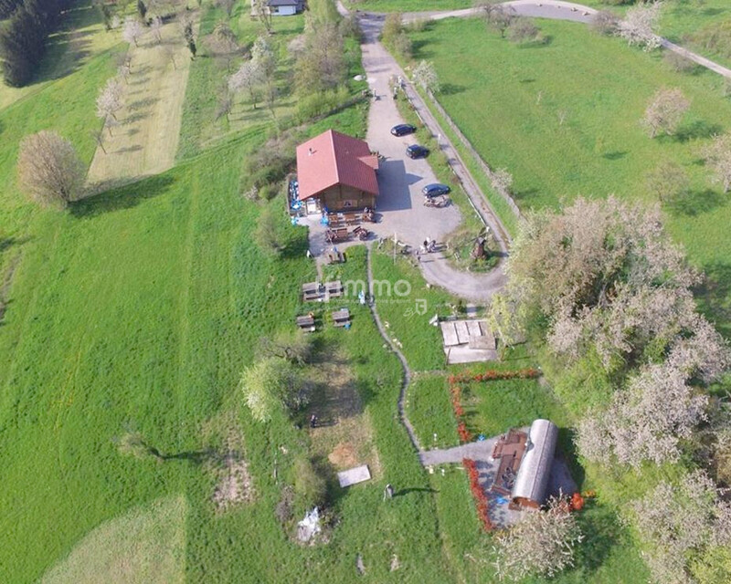 Vends à Berviller en Moselle un chalet sur 2000 m2 avec belle roulotte - Vue aerienne1