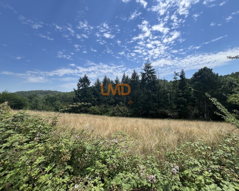 Terrain constructible de 2 162m² – Mercuer - Img 8482