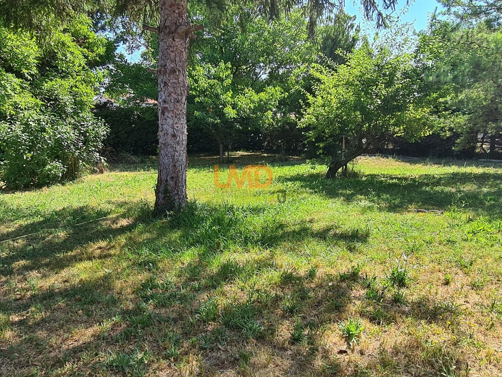 Maison 5 pièces - Grand Jardin- Garage - Atelier - 20250620 105909