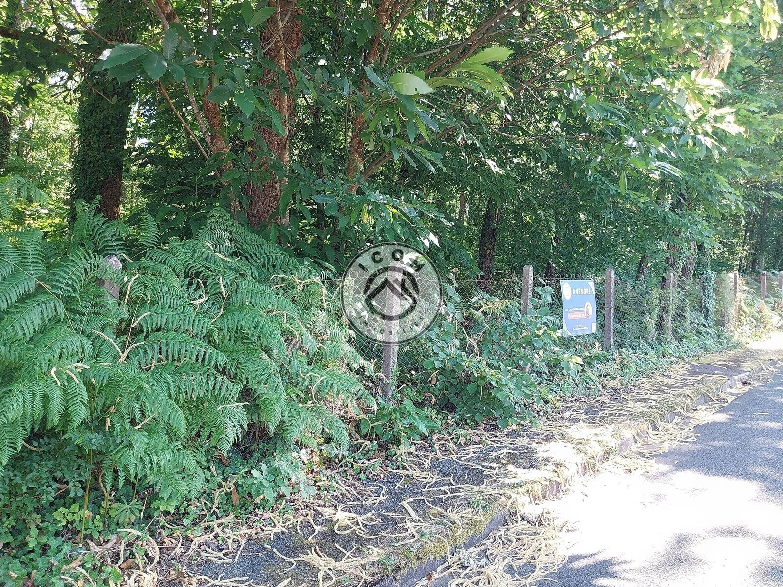 Superbe terrain constructible de 4033m2 - 1000009419-jpeg