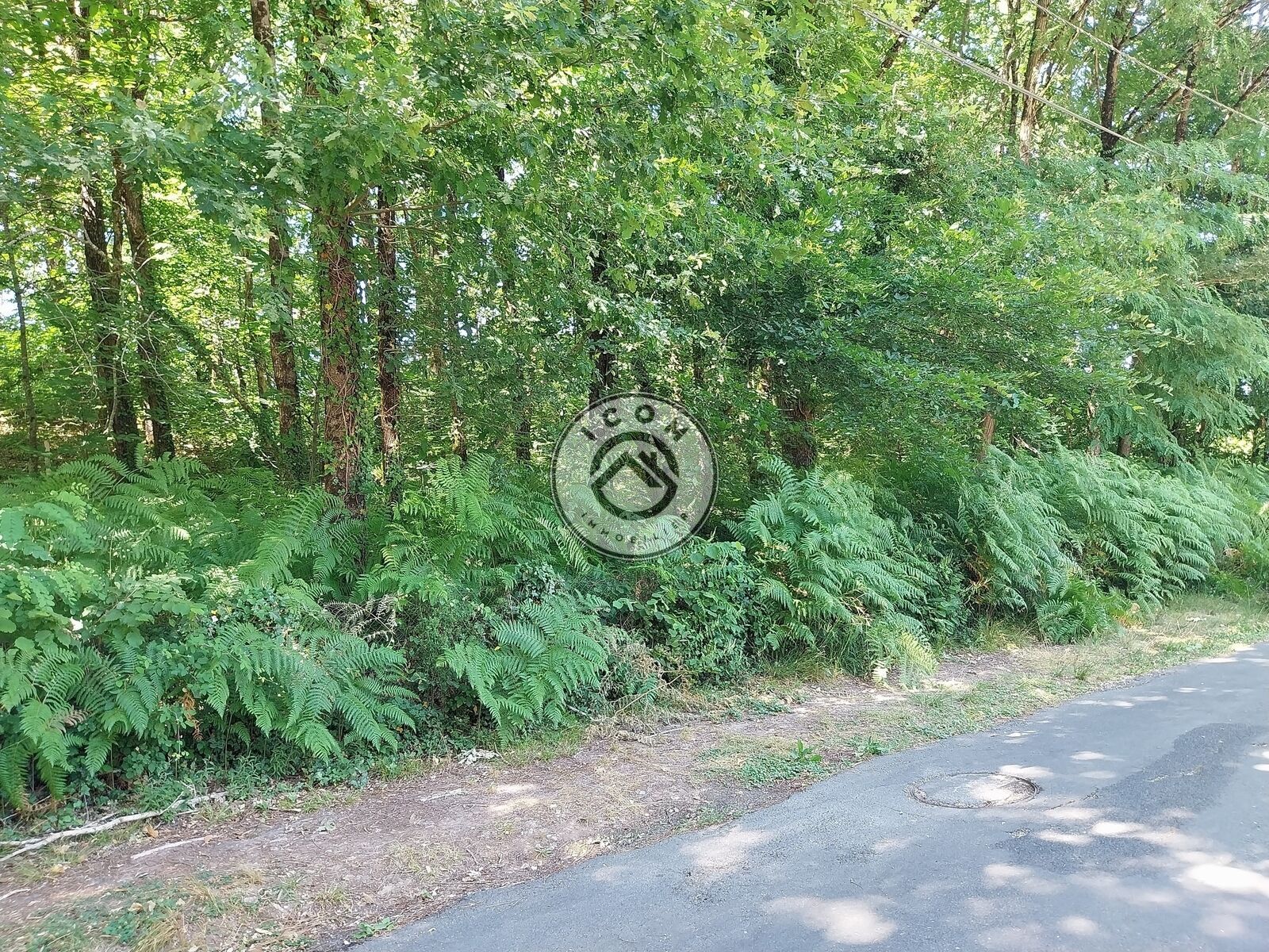 Superbe terrain constructible de 4033m2 - 1000009414-jpeg