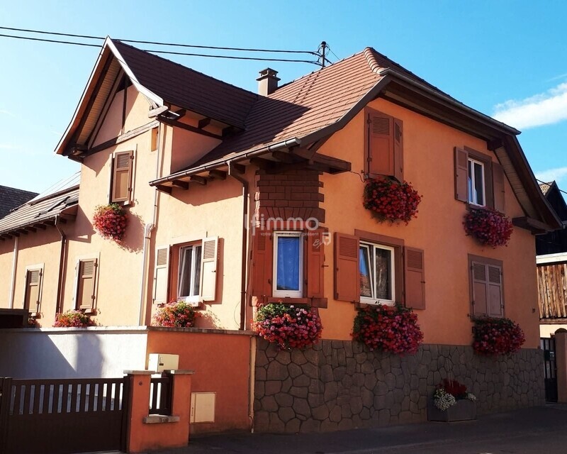 Haut potentiel projet pro ou locatif 630m2 19.9 ares - Fb img 1755764497813