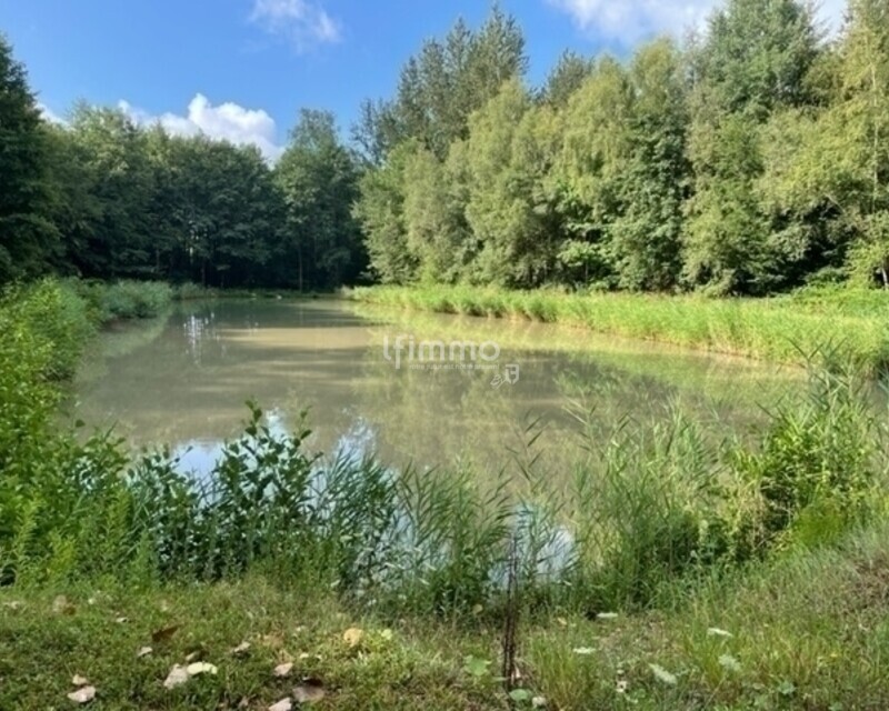 Vente plan d'eau 54480  Cirey Sur Vezouze - 1