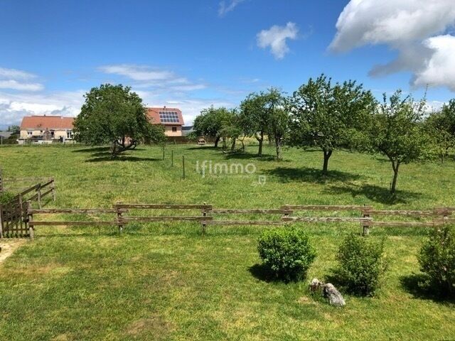 Maison de village avec dépendances et vaste terrain. - Photo pré tata marthe
