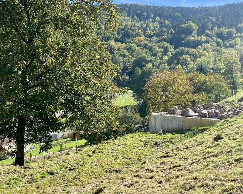 Terrain libre de constructeur de 550m²  - Img 0795