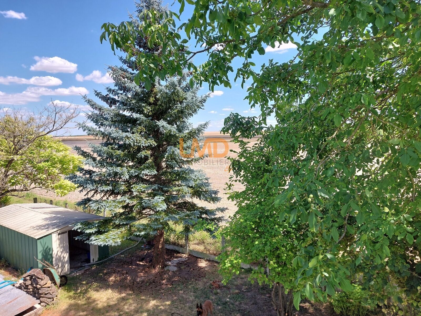 Bray sur Seine, maison 3 chambres avec sous-sol total et Piscine - 20250628 153122