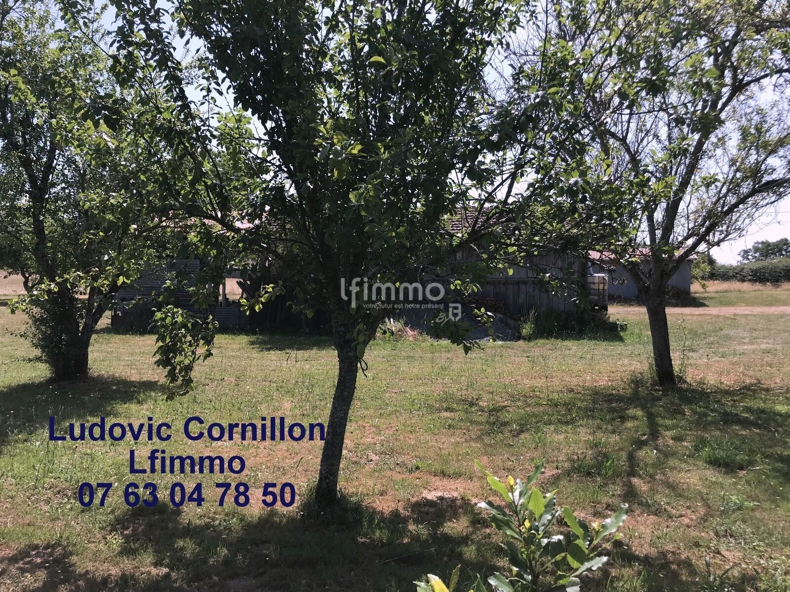 Maison a rénover 160 m2 avec 1ha - Img 6706