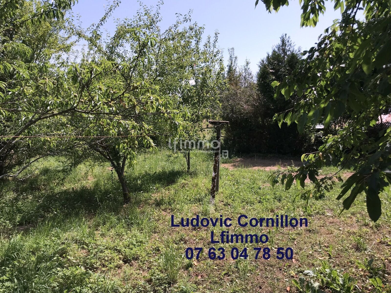 Maison a rénover 160 m2 avec 1ha - Img 6705